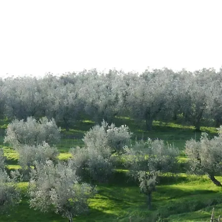 Daire Gioconda In *